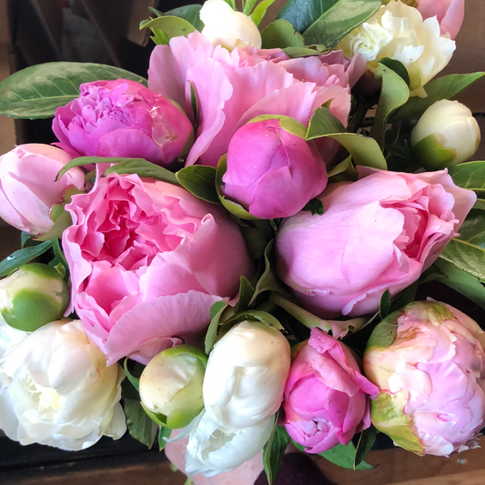 Bouquet of Pinks & Whites by Pure Peonies